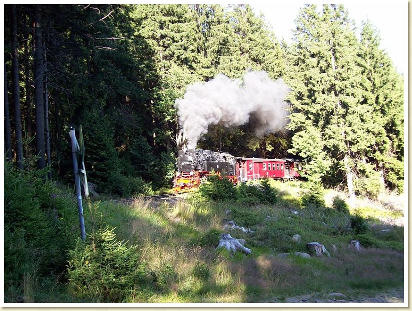 Brocken 06.08 (6)